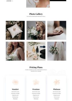 Plantilla_05
